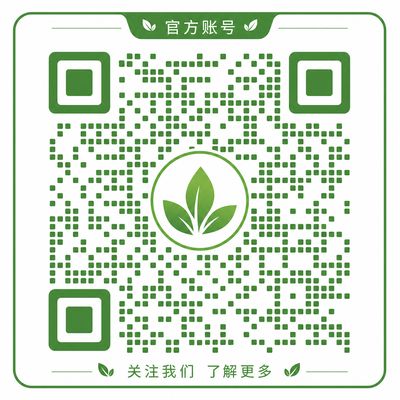 抖音风